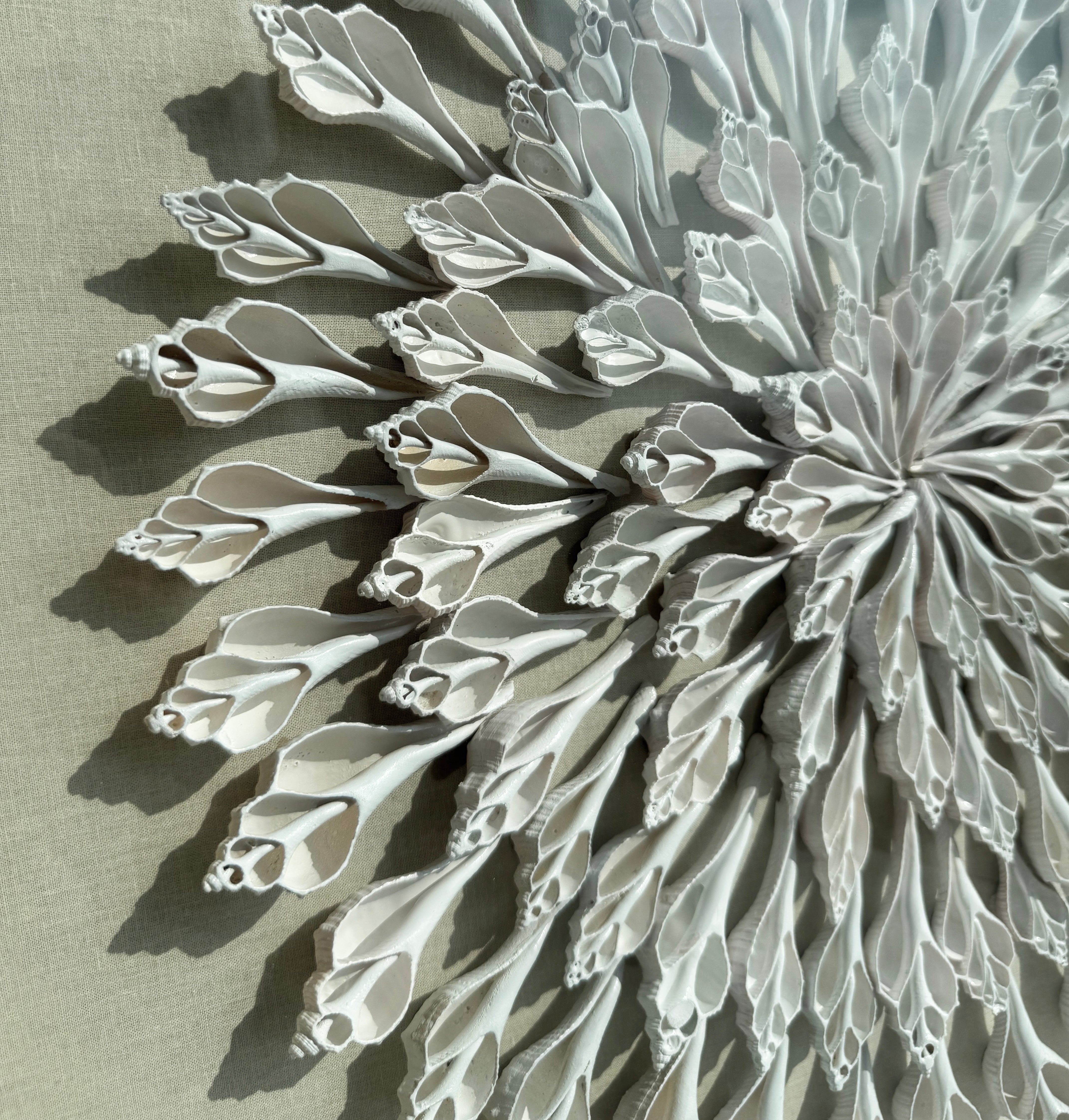 Shell wall decor #Set of 2 #001