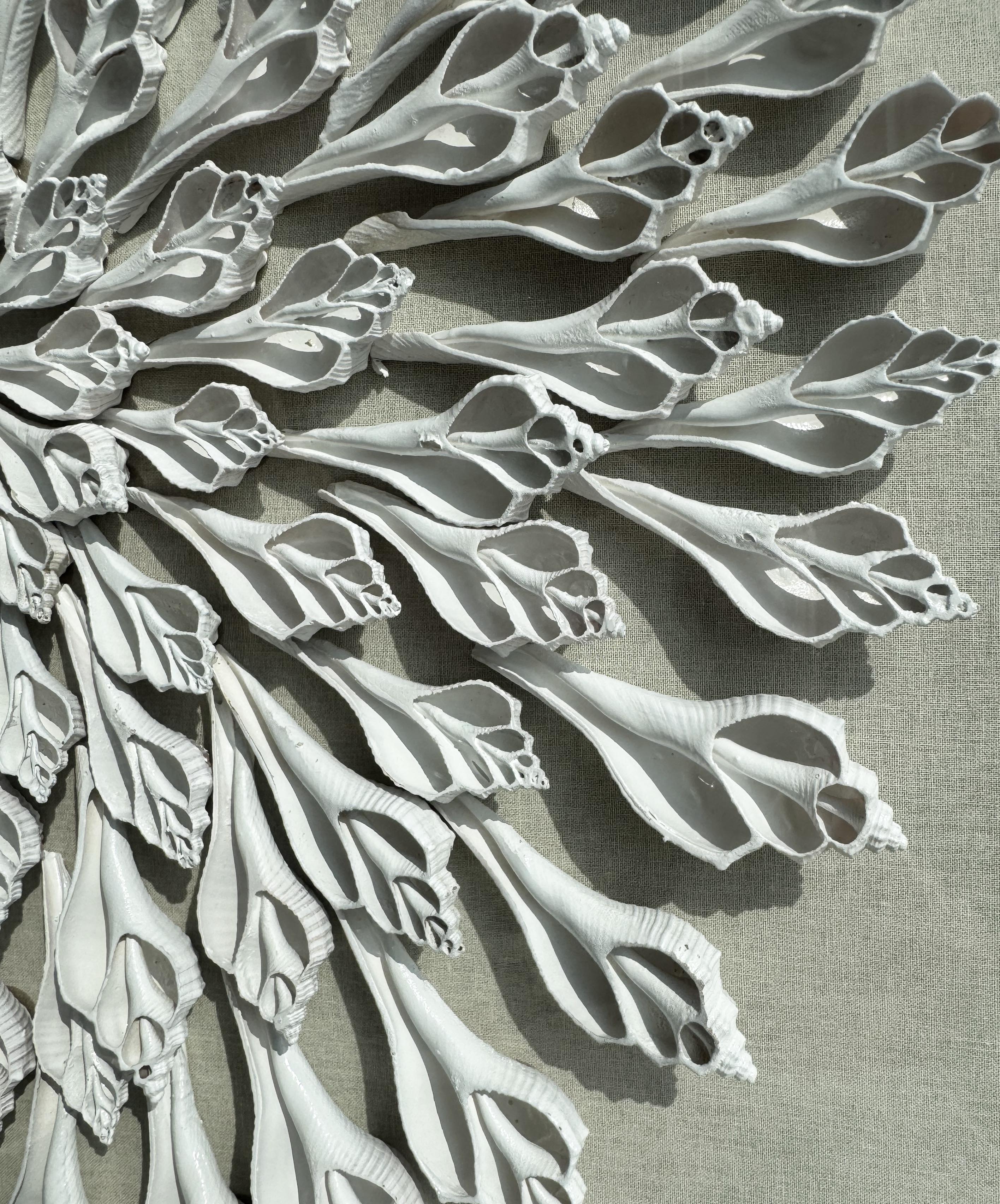 Shell wall decor #Set of 2 #001